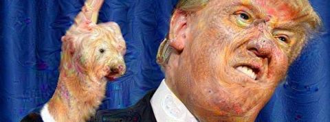 actu_30545_vignette_alaune actu_30545_vignette_alaune