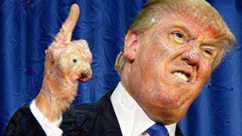 actu_30545_vignette_alaune