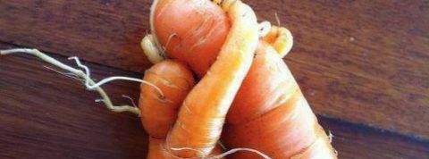 actu_30677_vignette_alaune actu_30677_vignette_alaune