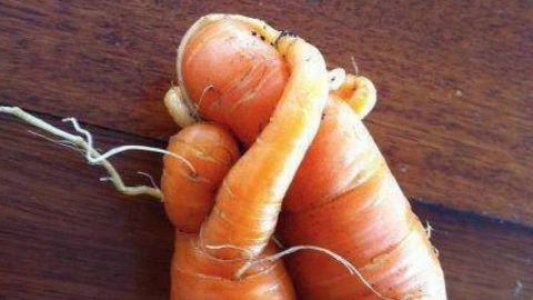 actu_30677_vignette_alaune