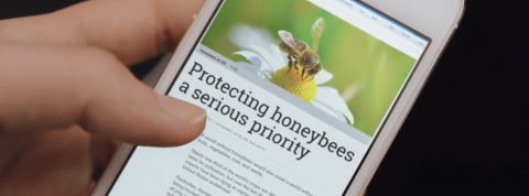 actu_30703_vignette_alaune actu_30703_vignette_alaune