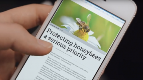 actu_30703_vignette_alaune