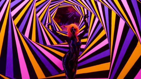 actu_30706_vignette_alaune