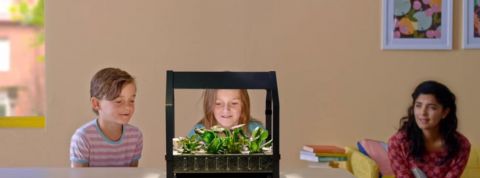 actu_30783_vignette_alaune actu_30783_vignette_alaune