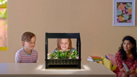 actu_30783_vignette_alaune