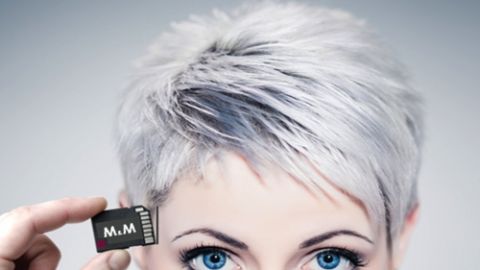 actu_30836_vignette_alaune