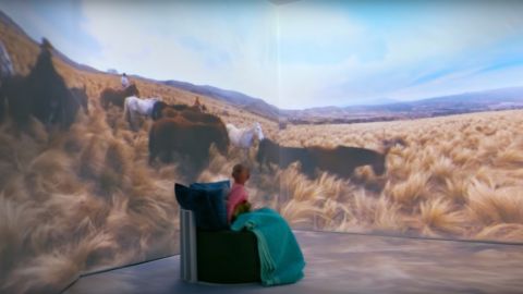 actu_30838_vignette_alaune