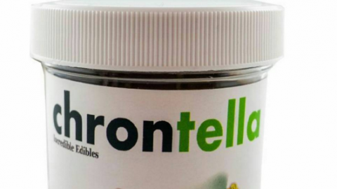 actu_30865_vignette_alaune