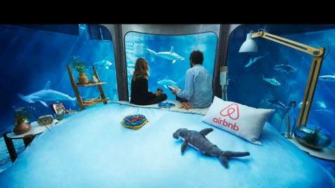 actu_30939_vignette_alaune