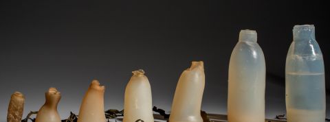 actu_30943_vignette_alaune actu_30943_vignette_alaune