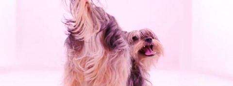 actu_30966_vignette_alaune actu_30966_vignette_alaune