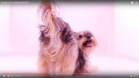 actu_30966_vignette_alaune