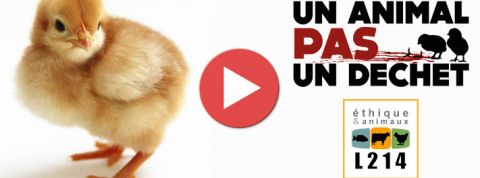 actu_30969_vignette_alaune actu_30969_vignette_alaune