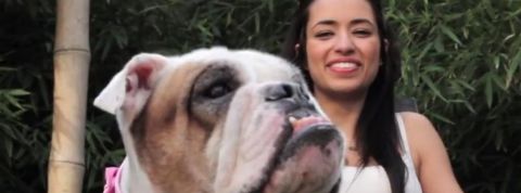 actu_31068_vignette_alaune actu_31068_vignette_alaune