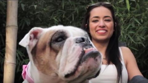 actu_31068_vignette_alaune