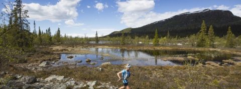 actu_31076_vignette_alaune actu_31076_vignette_alaune