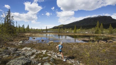 actu_31076_vignette_alaune