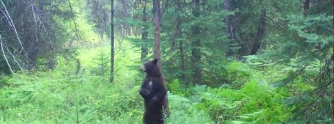 actu_31103_vignette_alaune actu_31103_vignette_alaune