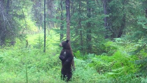 actu_31103_vignette_alaune