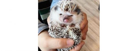 actu_31181_vignette_alaune actu_31181_vignette_alaune