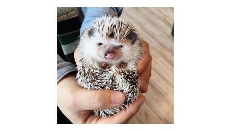 actu_31181_vignette_alaune