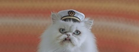 actu_31212_vignette actu_31212_vignette