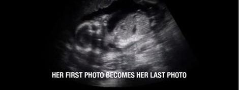 actu_31213_vignette actu_31213_vignette