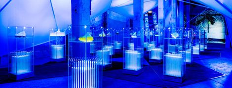 actu_31343_vignette actu_31343_vignette