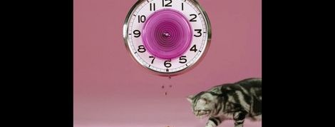 actu_31346_vignette actu_31346_vignette