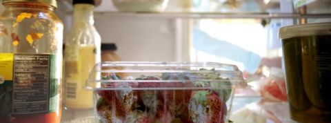 actu_31393_vignette_alaune actu_31393_vignette_alaune