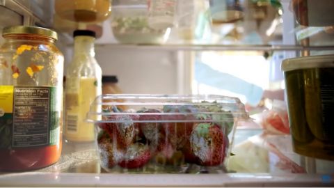 actu_31393_vignette_alaune