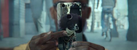 actu_31395_vignette_alaune actu_31395_vignette_alaune