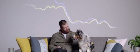 actu_31553_vignette_alaune actu_31553_vignette_alaune