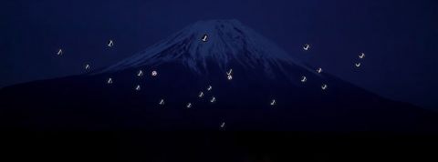 actu_31607_vignette_alaune actu_31607_vignette_alaune