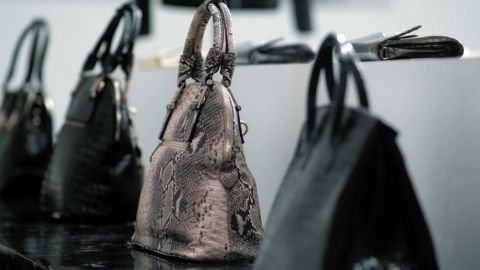 actu_31661_vignette_alaune