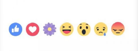 actu_31663_vignette_alaune actu_31663_vignette_alaune