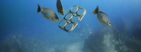 actu_31819_vignette_alaune actu_31819_vignette_alaune