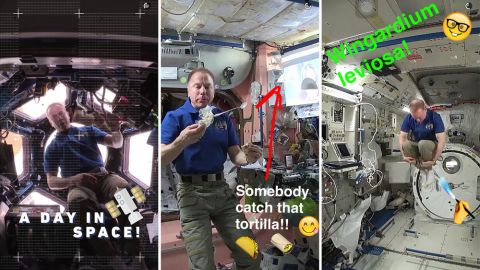 actu_31849_vignette_alaune