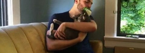 actu_31873_vignette_alaune actu_31873_vignette_alaune