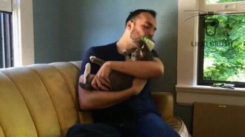 actu_31873_vignette_alaune