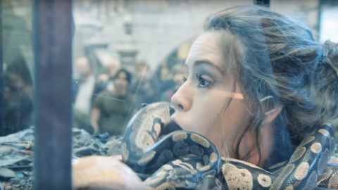 actu_31950_vignette_alaune