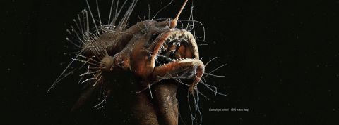 actu_32080_vignette_alaune actu_32080_vignette_alaune