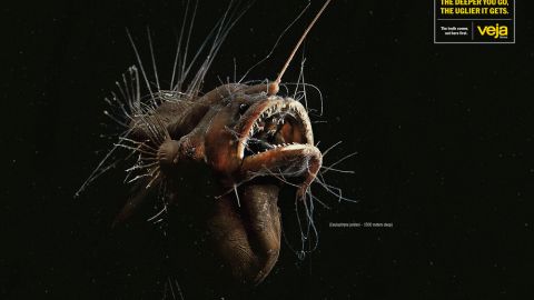 actu_32080_vignette_alaune