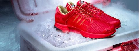 actu_32081_vignette_alaune actu_32081_vignette_alaune