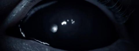 actu_32106_vignette_alaune actu_32106_vignette_alaune