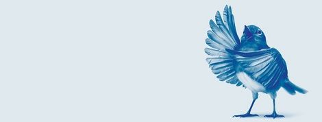 actu_32233_vignette actu_32233_vignette