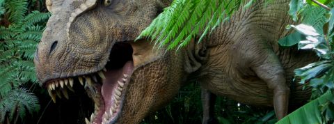 Animaux-Dinosaures-T-rex-670608 Animaux-Dinosaures-T-rex-670608