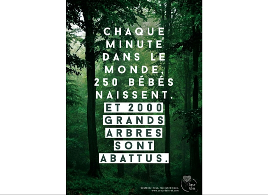 Bébés Bébés