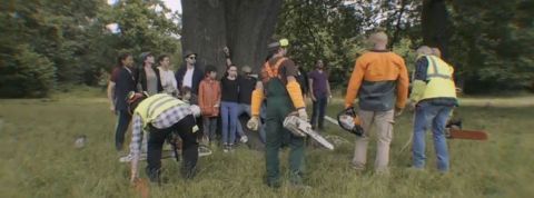 coeur de forêt coeur de forêt