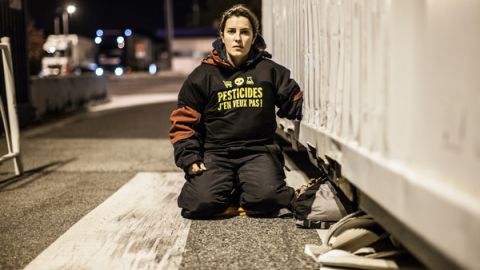 Pesticides Action Against Leclerc in France